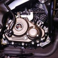 Pulsar 150 engine online guard