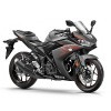 Yamaha YZF R3 Picture