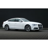 Audi S5 Sportback Picture