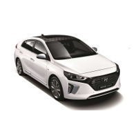 Hyundai Ioniq Picture