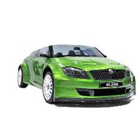 Skoda RS2000 Picture