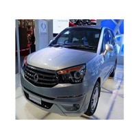 Ssangyong Rodius Picture